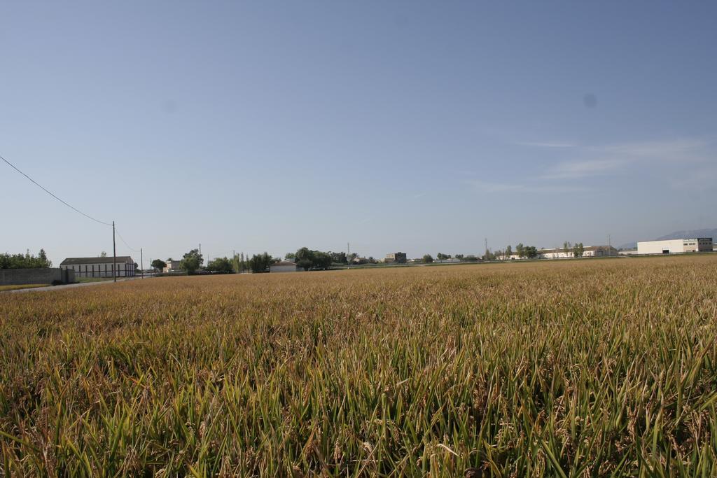 La Casilla Konuk evi Deltebre Dış mekan fotoğraf